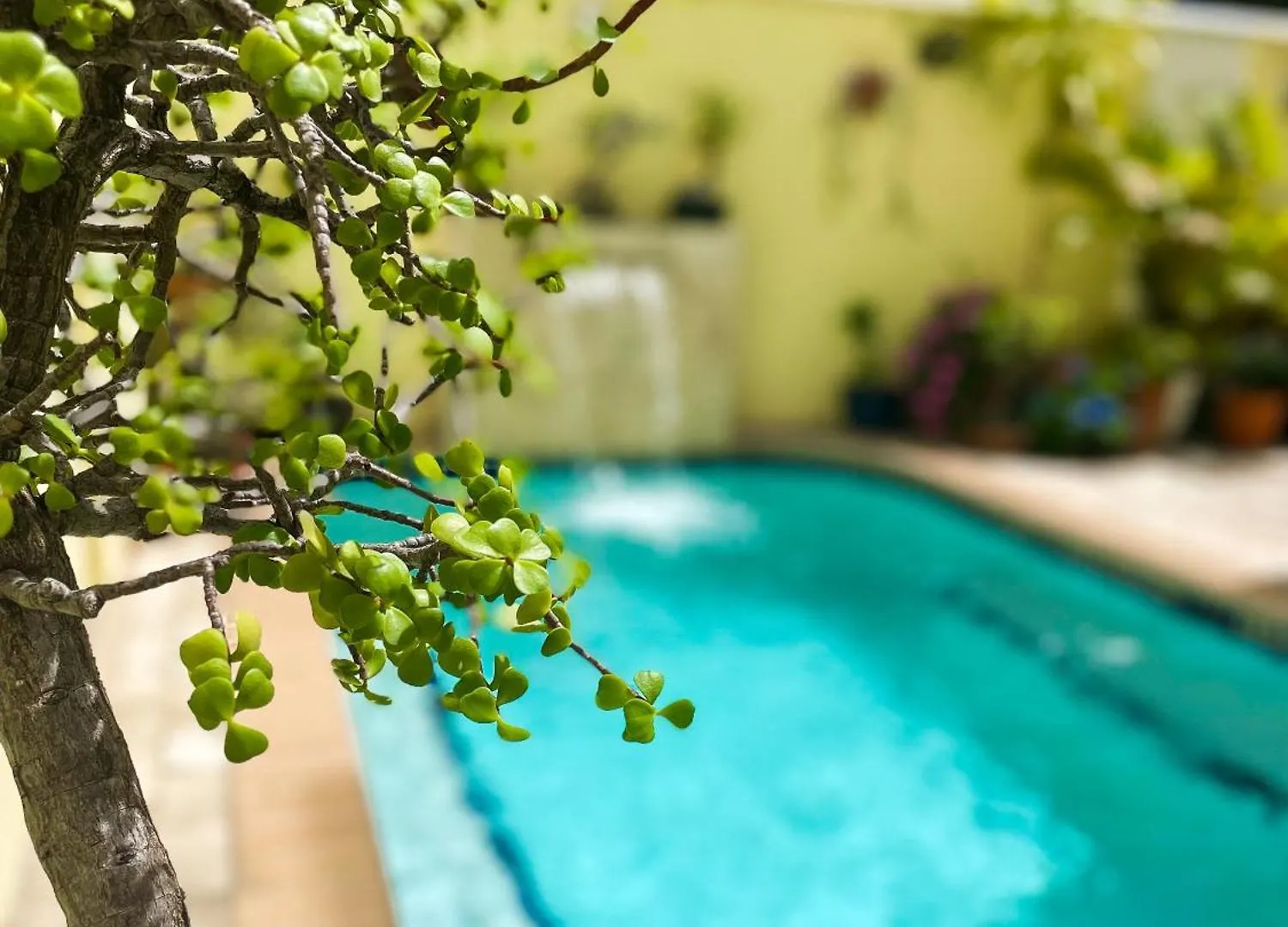 Villa Petrea San Juan Apartment