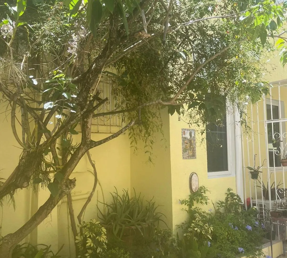 Apartment Villa Petrea San Juan